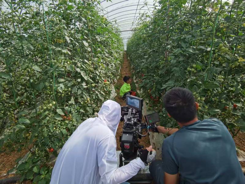 昆都仑区产品宣传视频拍摄公司进阶指南，助力品牌抢占传播高地